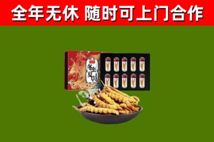 东凤镇烟酒回收冬虫夏草礼盒.jpg